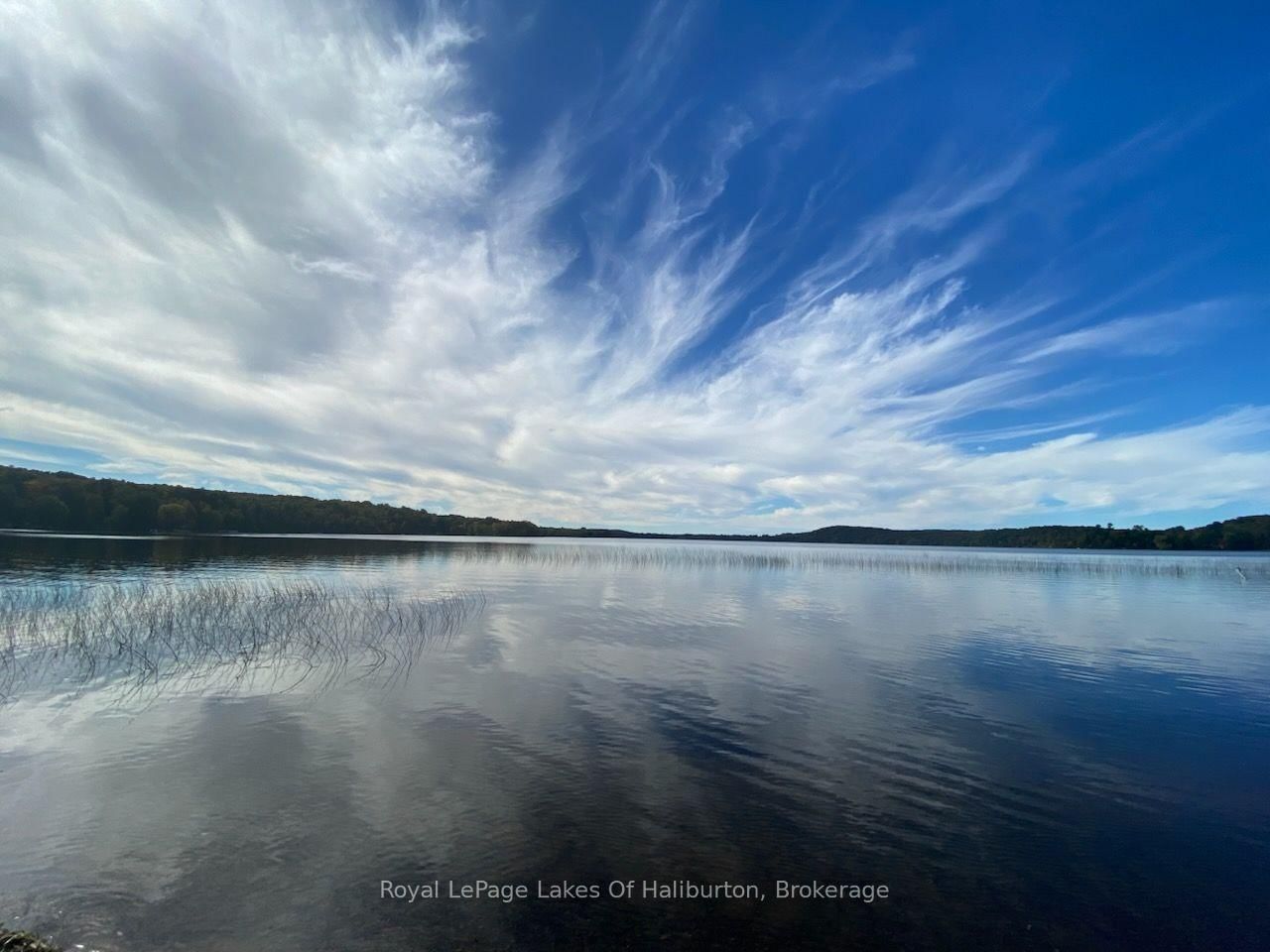 1046 Placid Lane • Algonquin Highlands, ON photo 20