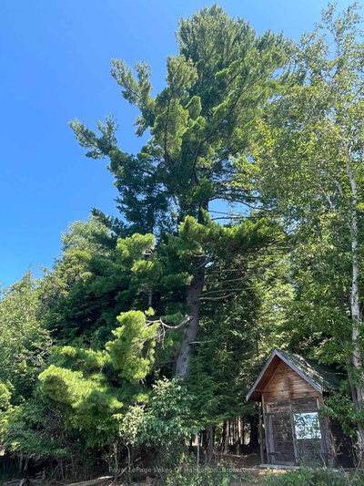 1046 Placid Lane • Algonquin Highlands, ON photo 8