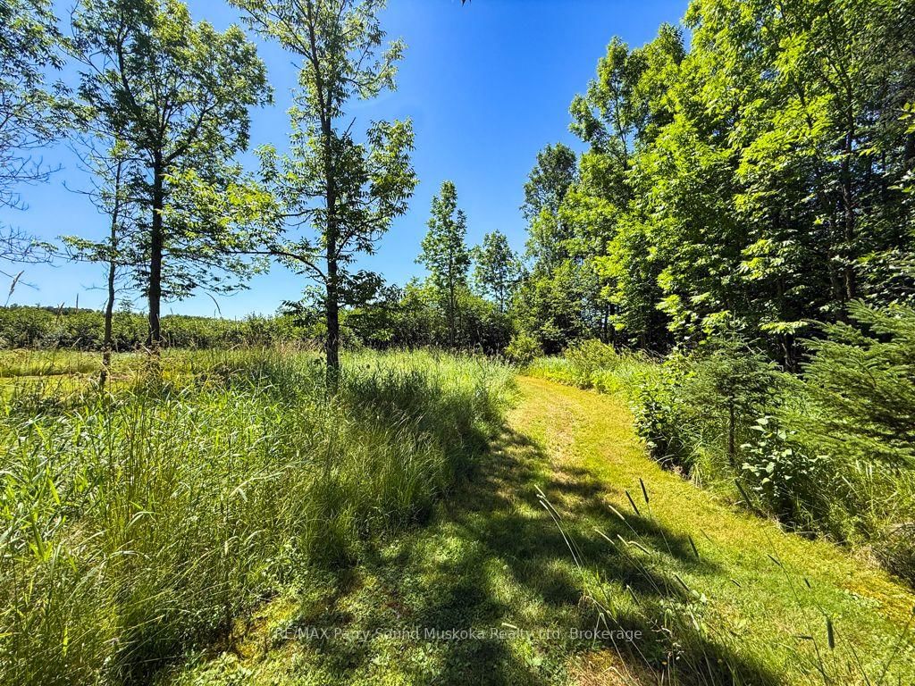 4031 Highway 520 Highway • Magnetawan, ON photo 36