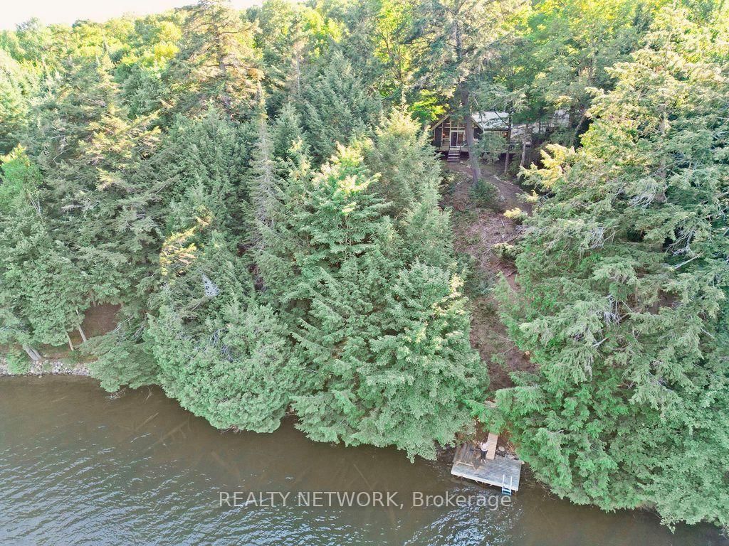 1123 Blue Lake Road • Lake of Bays, ON photo 41