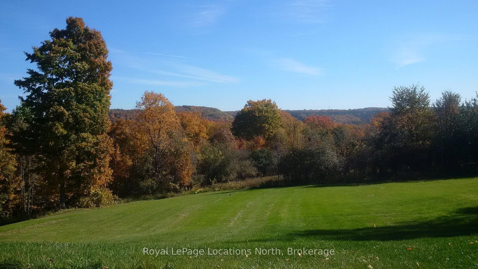 446070 Johnston's Side Road • Grey Highlands, ON photo 41