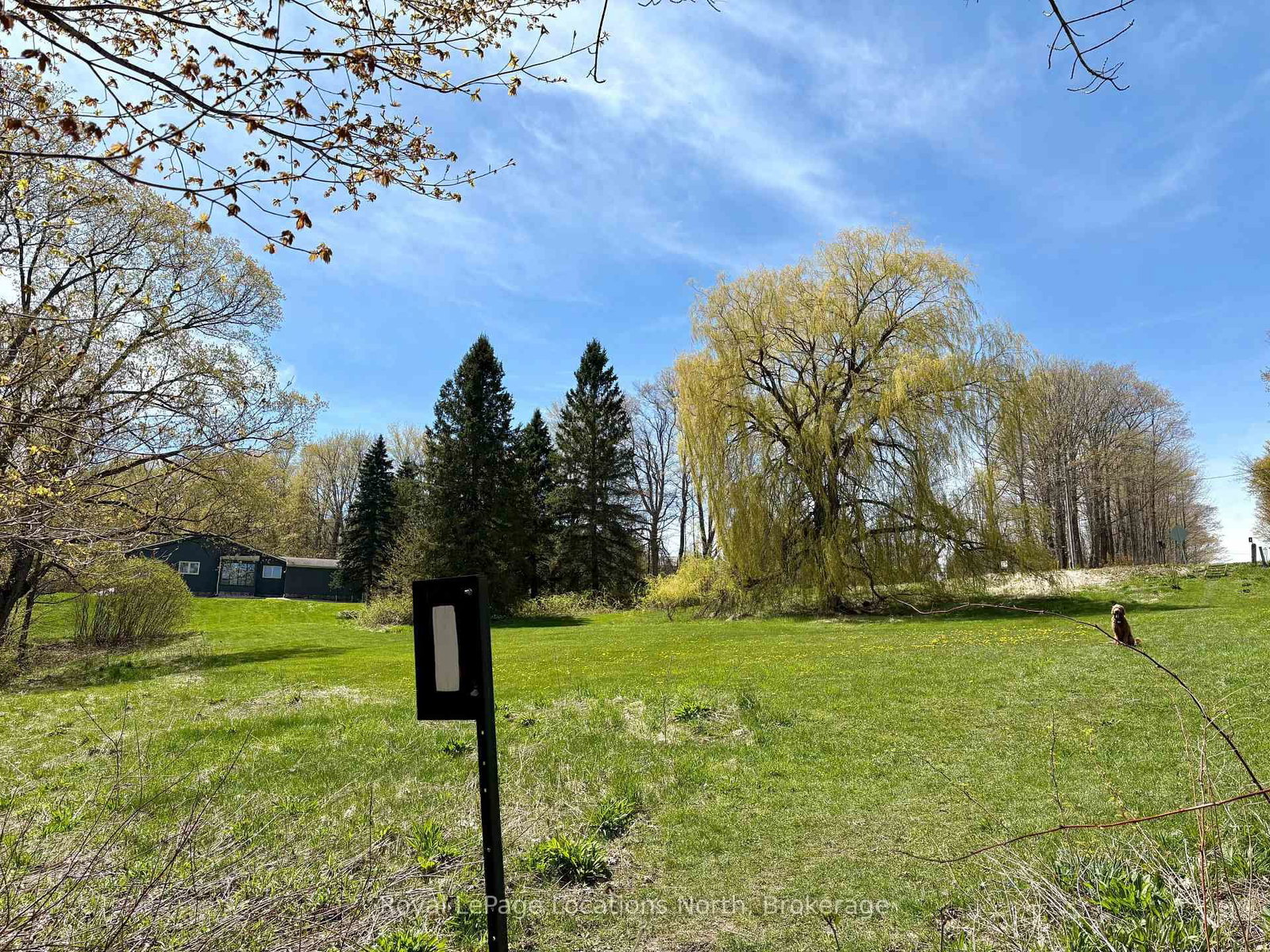 446070 Johnston's Side Road • Grey Highlands, ON photo 46