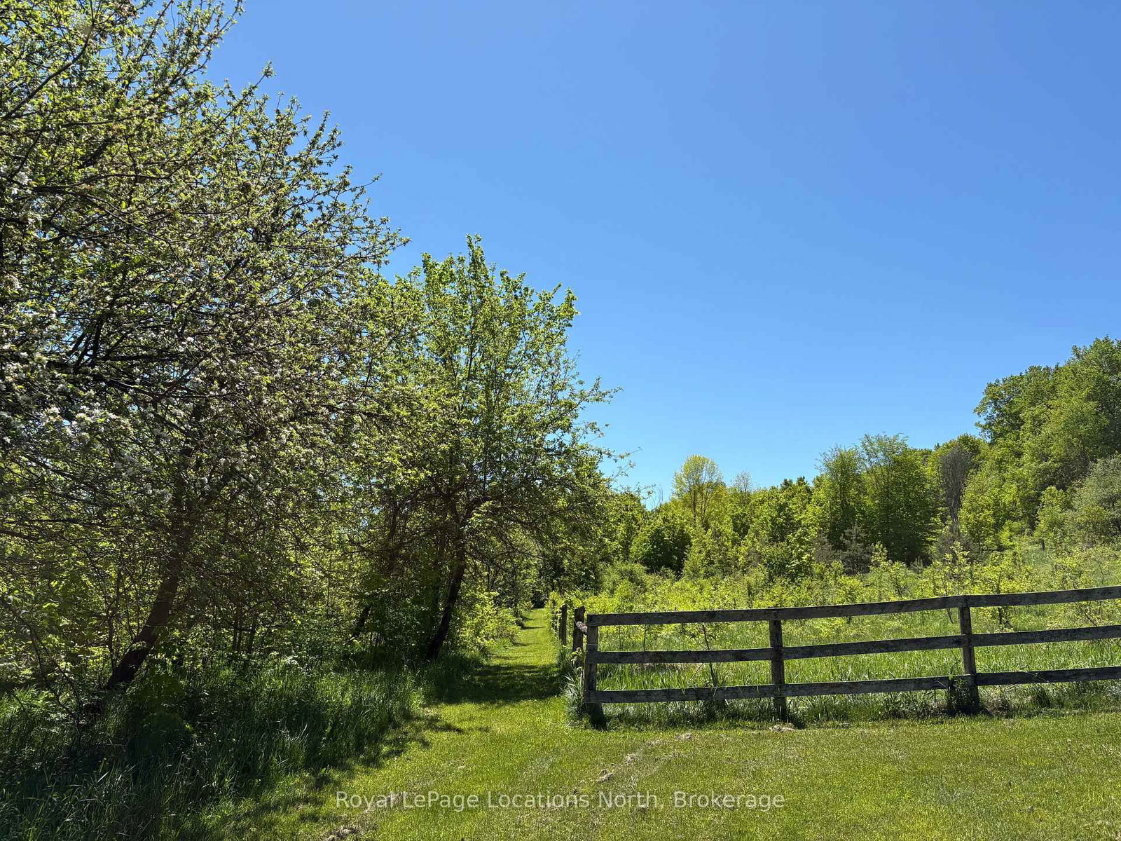 446070 Johnston's Side Road • Grey Highlands, ON photo 5