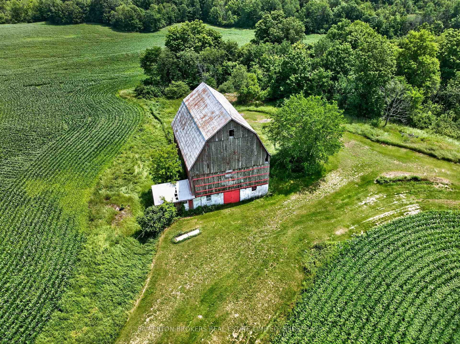 1497 Sunbury Road • Inverary, ON photo 6