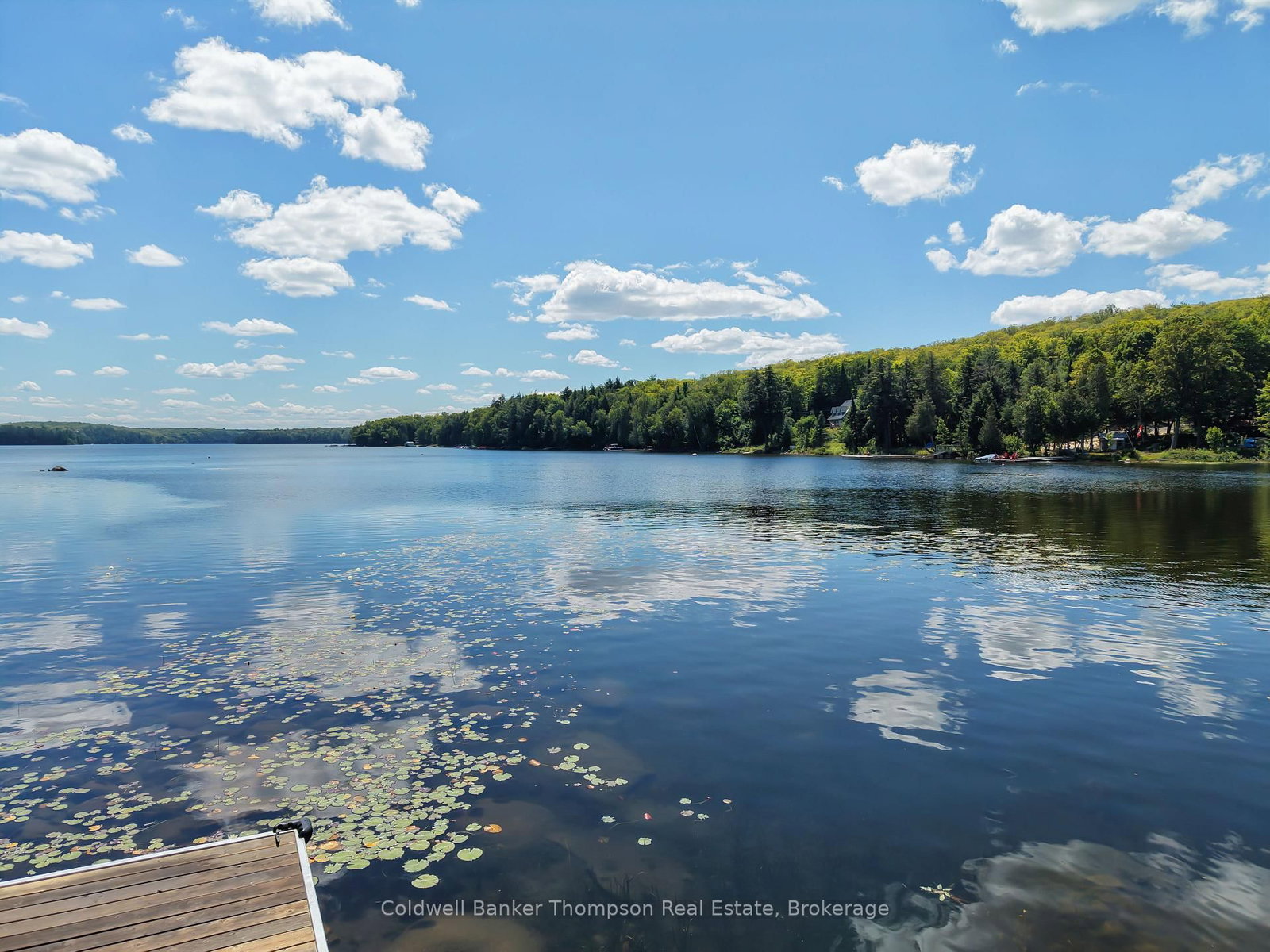 67 Sandy Cove Drive • Armour, ON photo 36