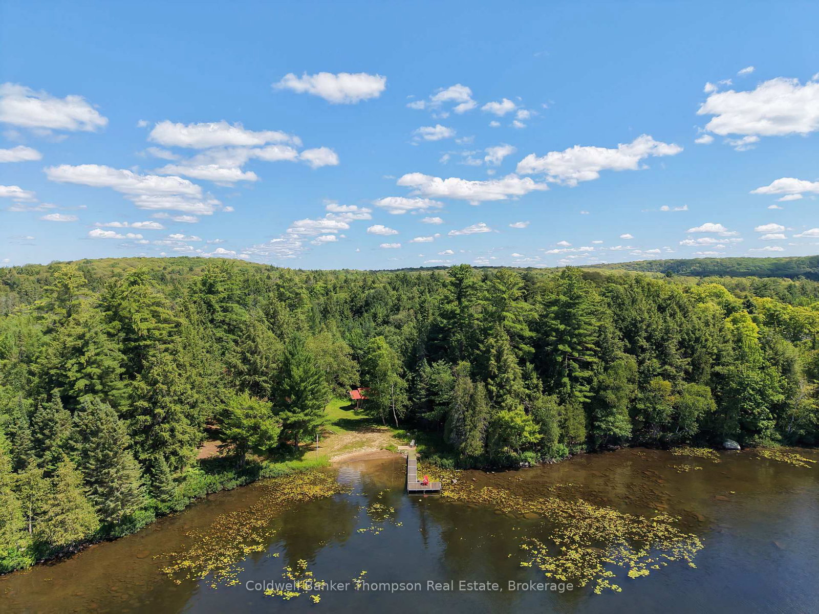 67 Sandy Cove Drive • Armour, ON photo 38