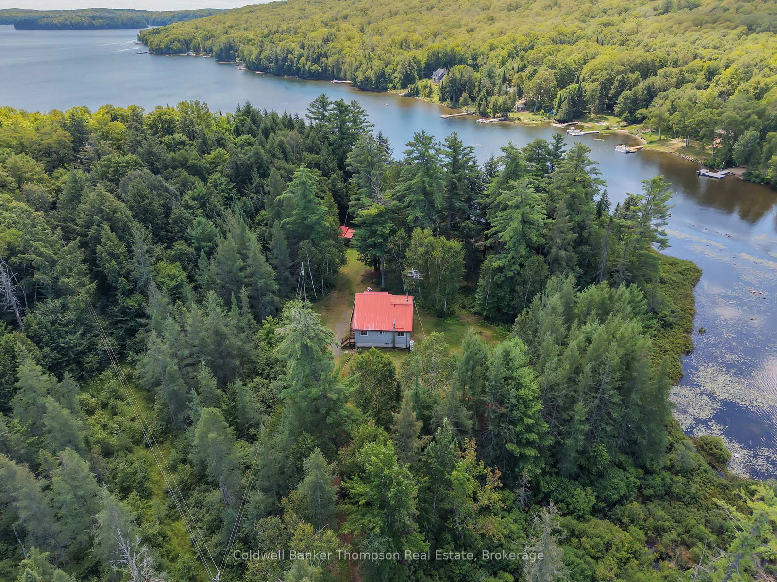 67 Sandy Cove Drive • Armour, ON photo 39