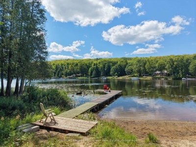 67 Sandy Cove Drive • Armour, ON photo 4