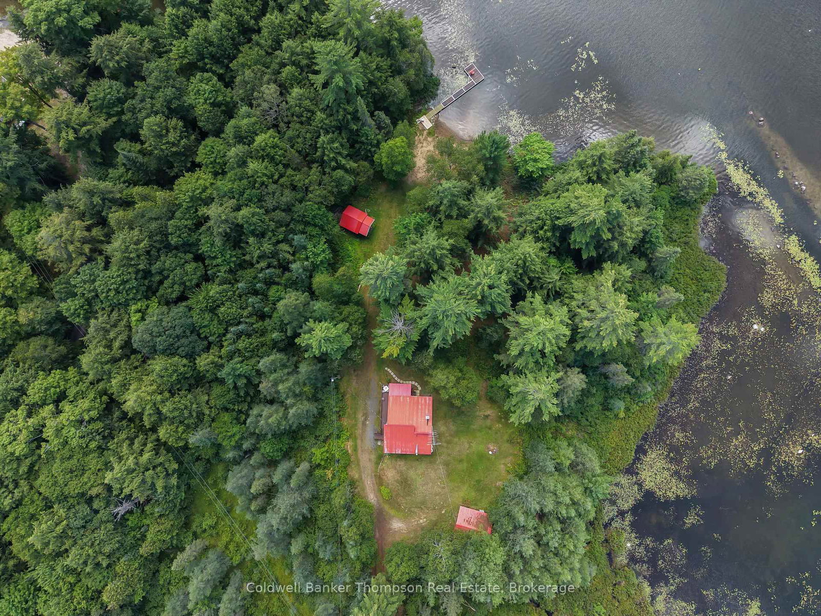 67 Sandy Cove Drive • Armour, ON photo 41