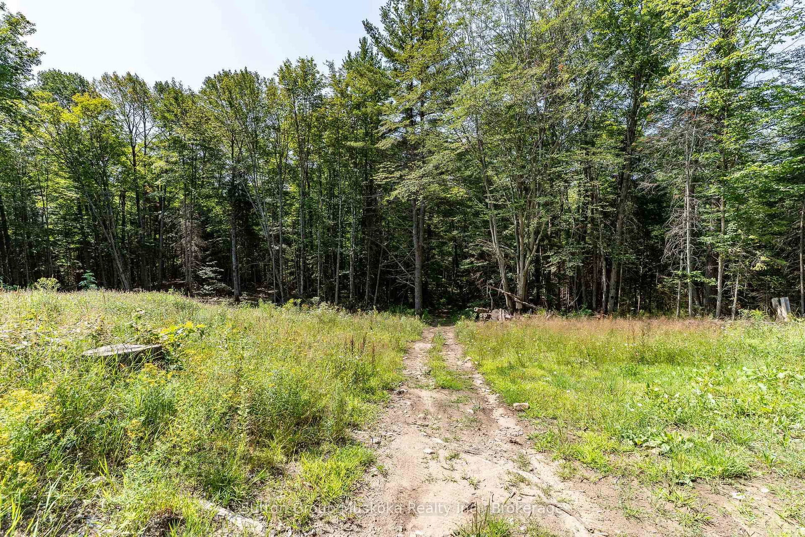 1265 Britannia Road • Huntsville, ON photo 43