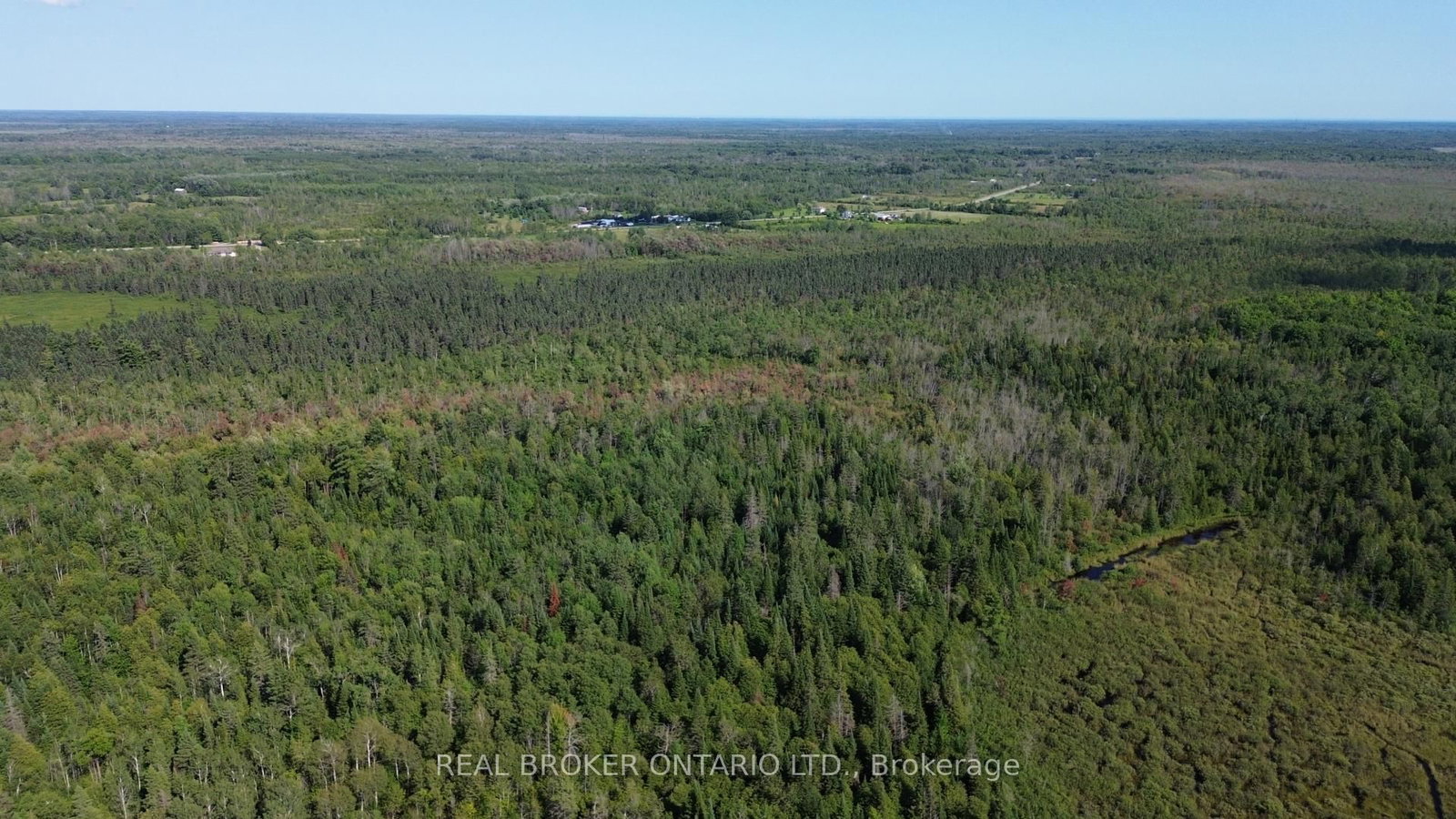 12830 County 15 Road • Merrickville-Wolford, ON photo 10