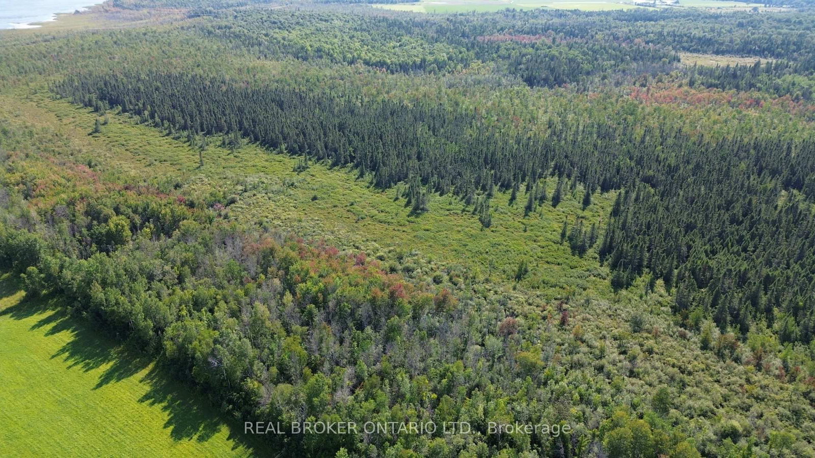 12830 County 15 Road • Merrickville-Wolford, ON photo 15