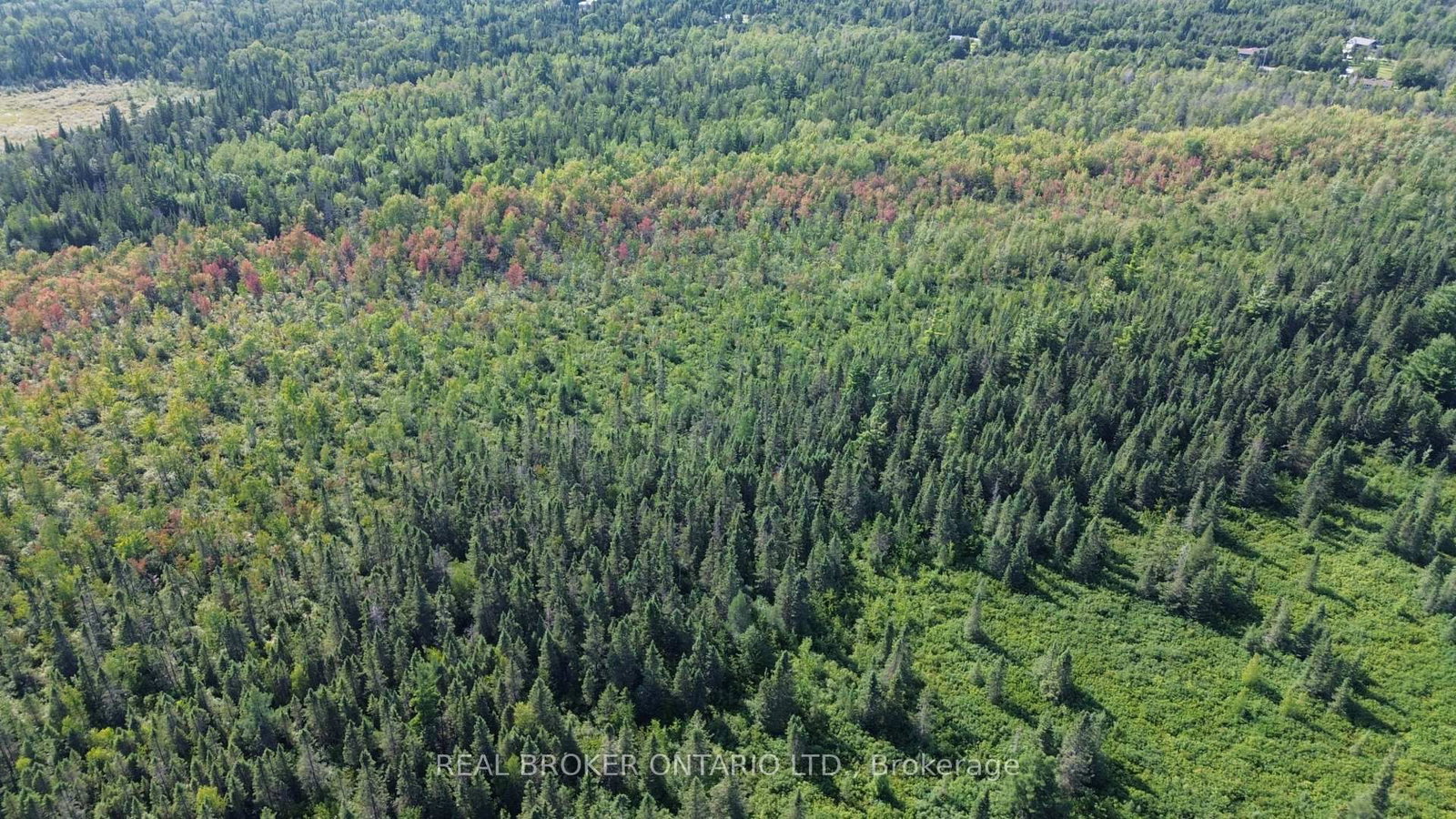 12830 County 15 Road • Merrickville-Wolford, ON photo 27