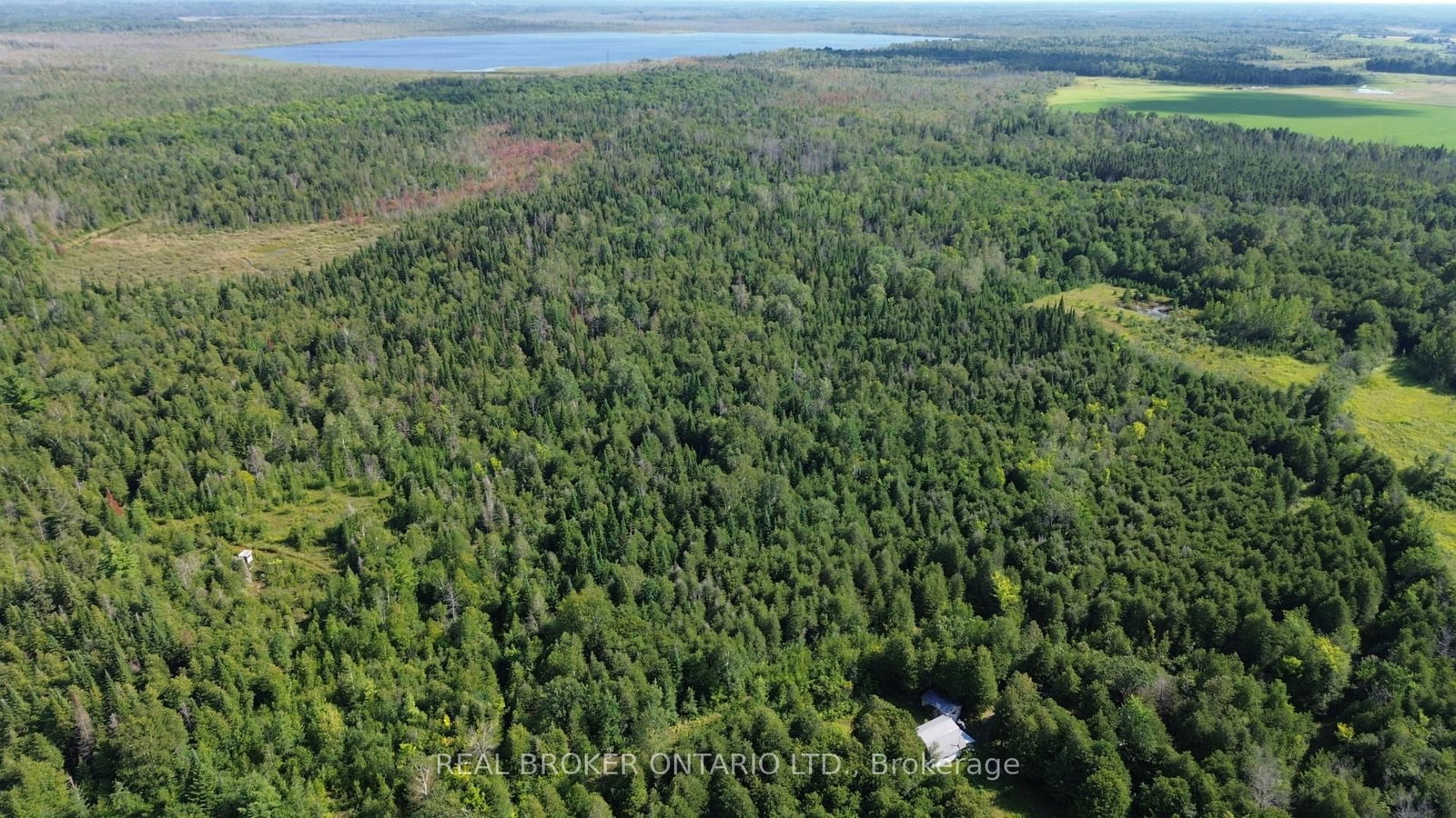 12830 County 15 Road • Merrickville-Wolford, ON photo 6