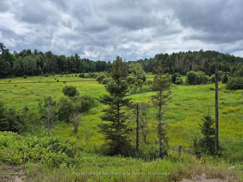 3518 HIGHWAY 17