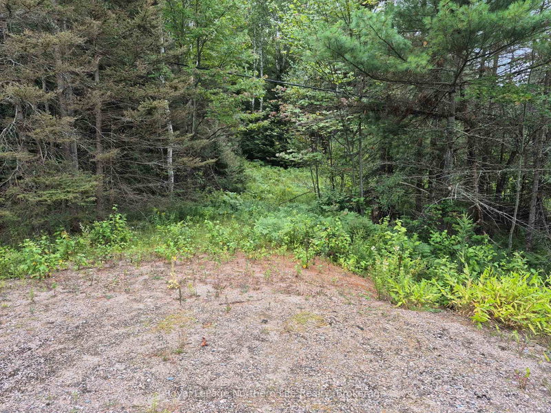 3518 HIGHWAY 17