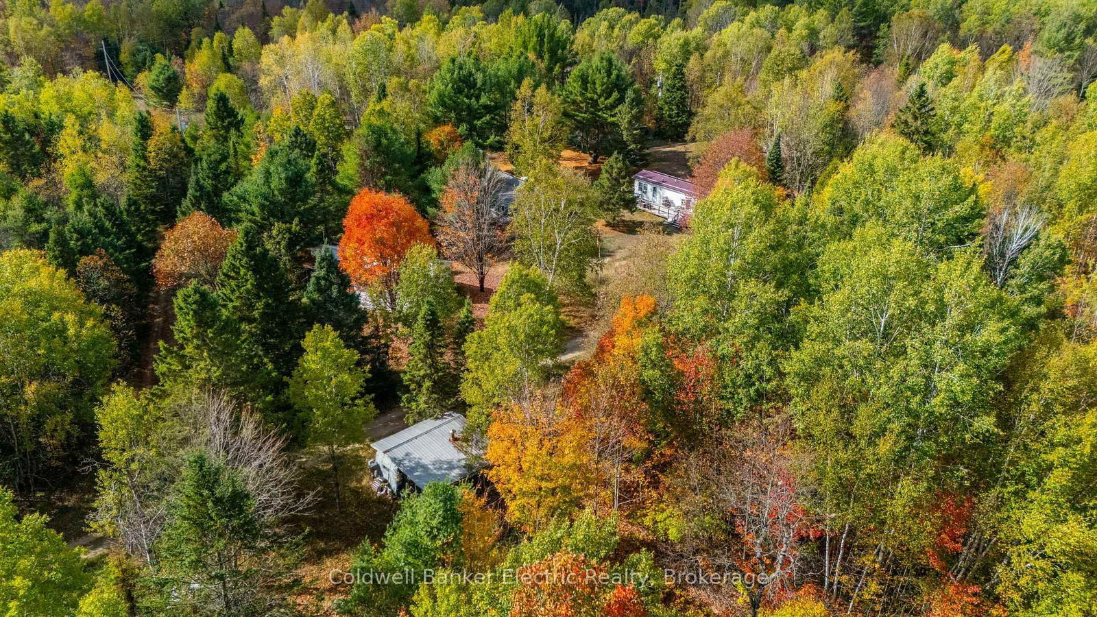 1304 Lower Monmouth Lake Road • Highlands East, ON photo 1