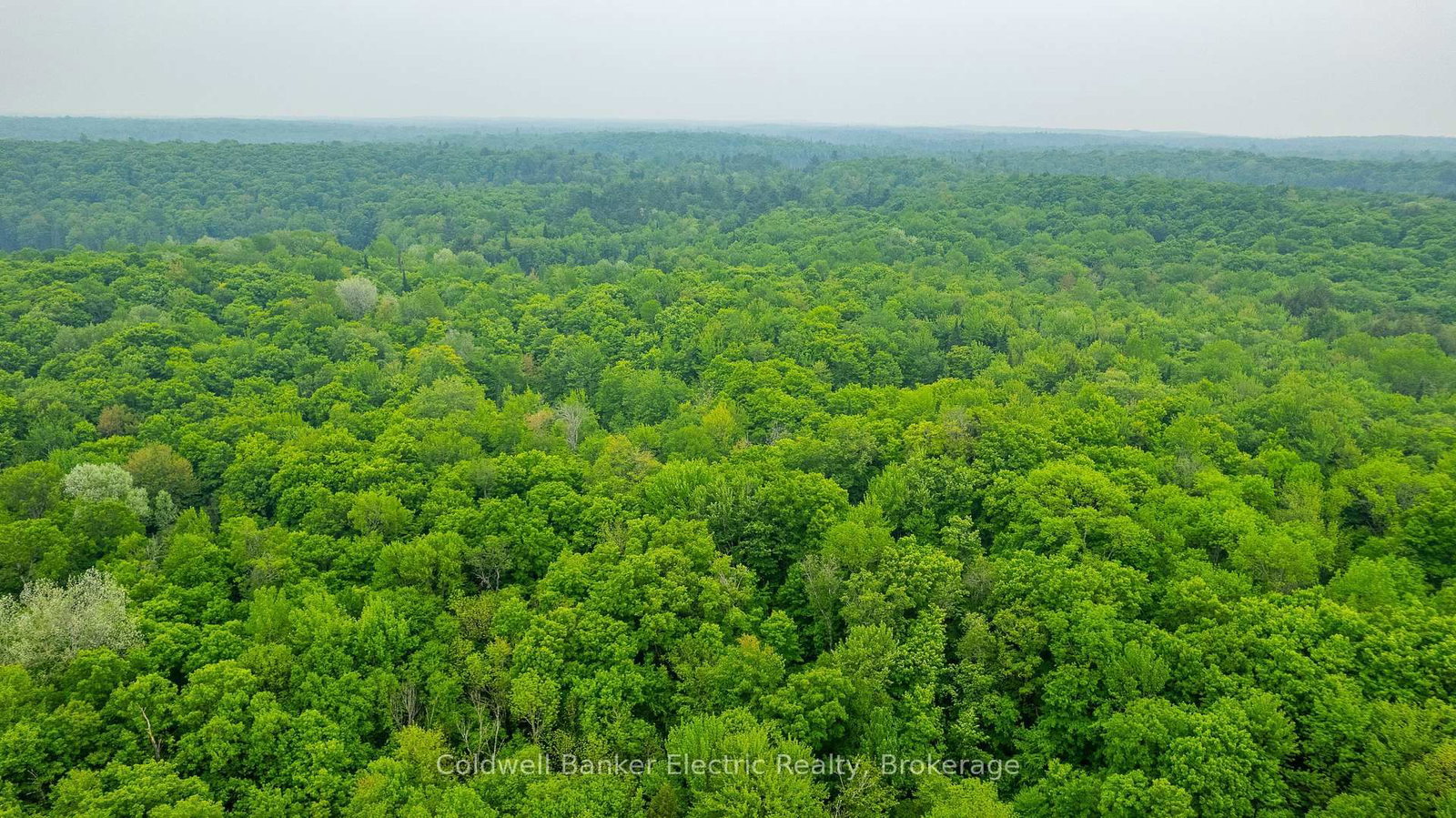 1304 Lower Monmouth Lake Road • Highlands East, ON photo 24