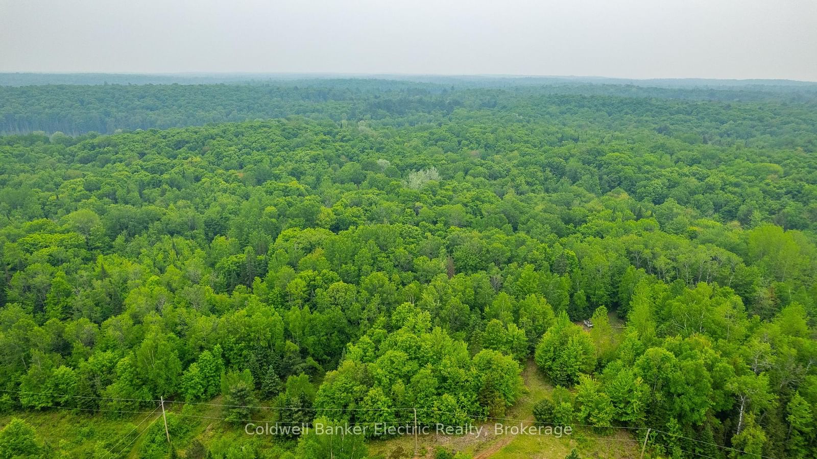 1304 Lower Monmouth Lake Road • Highlands East, ON photo 25