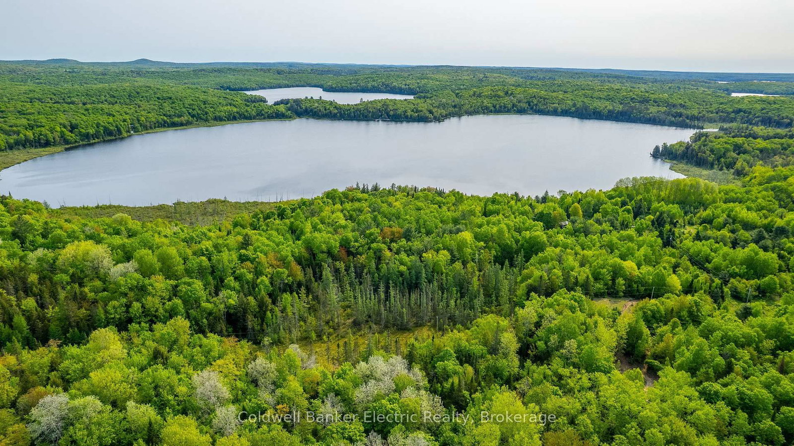 1304 Lower Monmouth Lake Road • Highlands East, ON photo 36