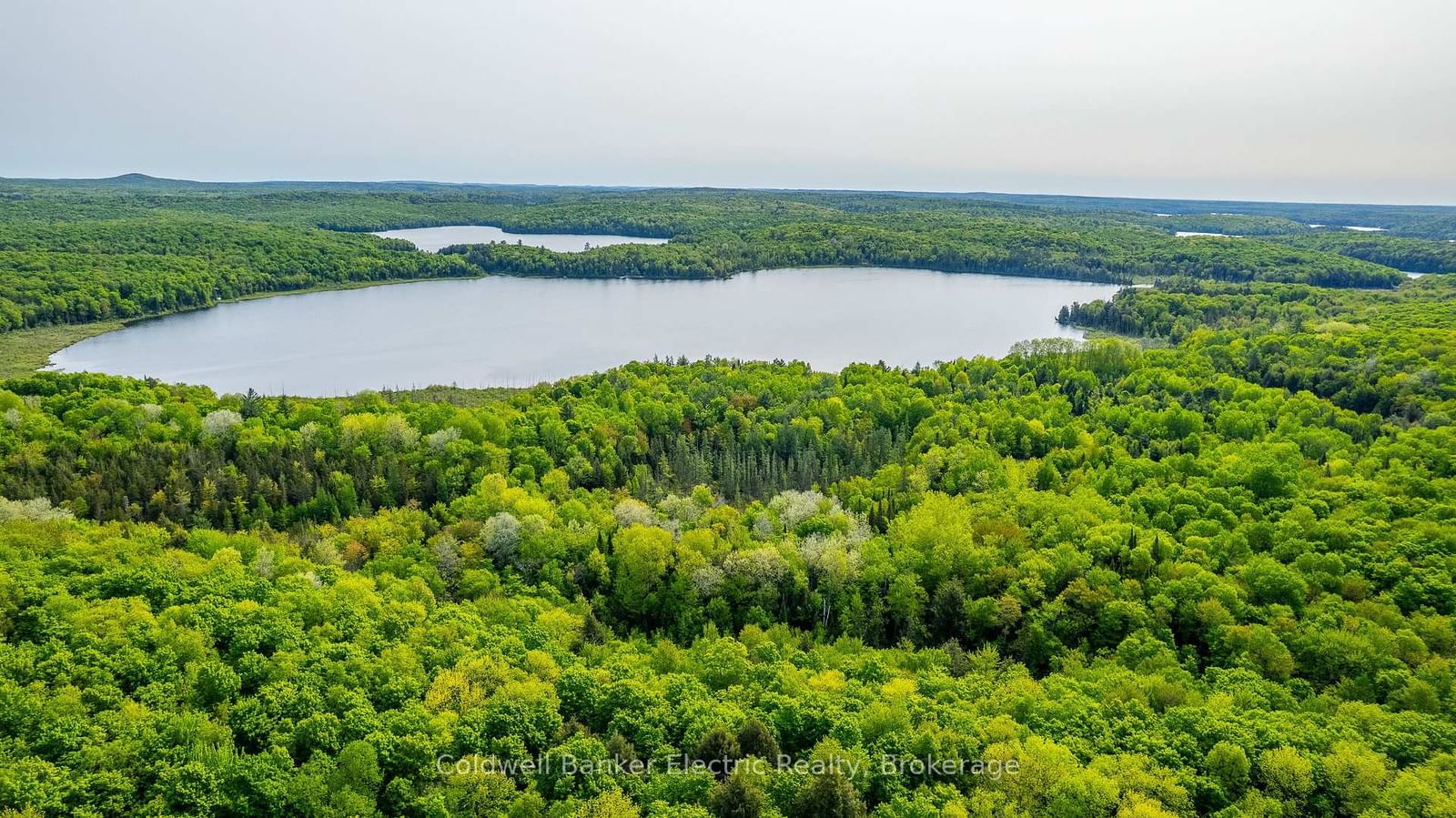 1304 Lower Monmouth Lake Road • Highlands East, ON photo 37