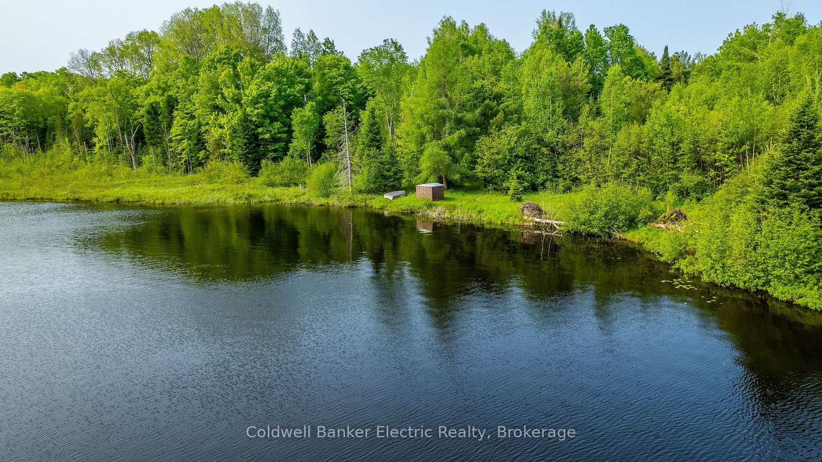 1304 Lower Monmouth Lake Road • Highlands East, ON photo 39