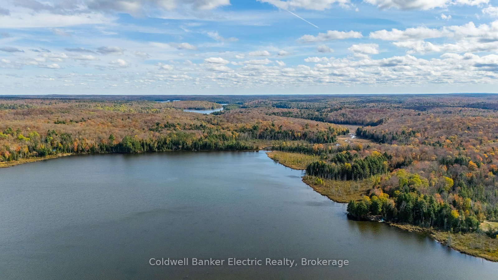 1304 Lower Monmouth Lake Road • Highlands East, ON photo 4