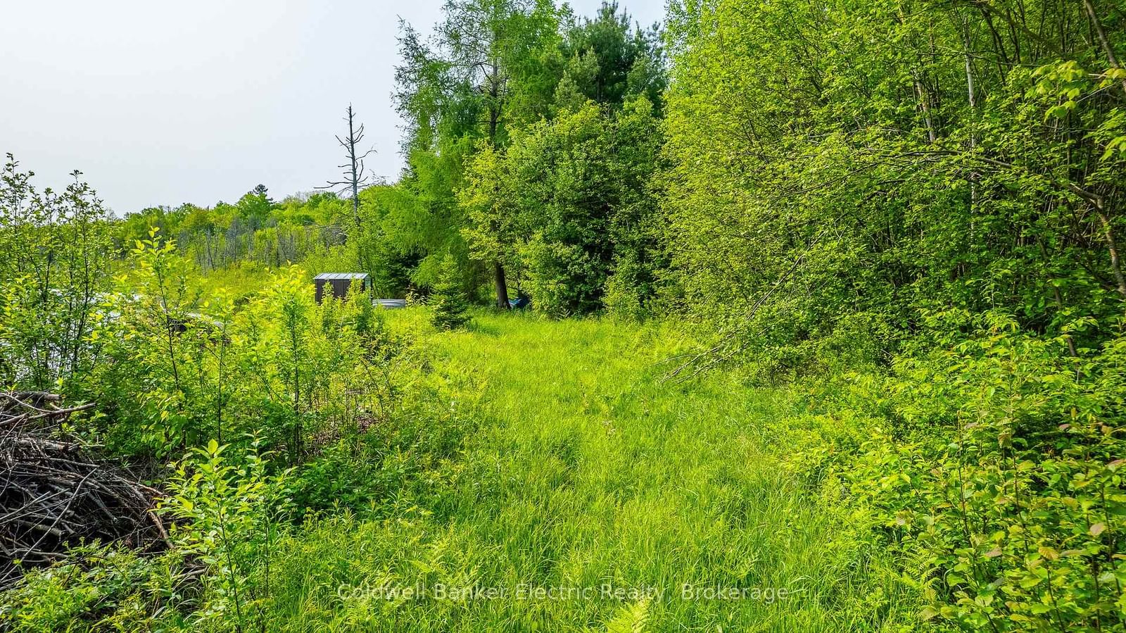 1304 Lower Monmouth Lake Road • Highlands East, ON photo 41