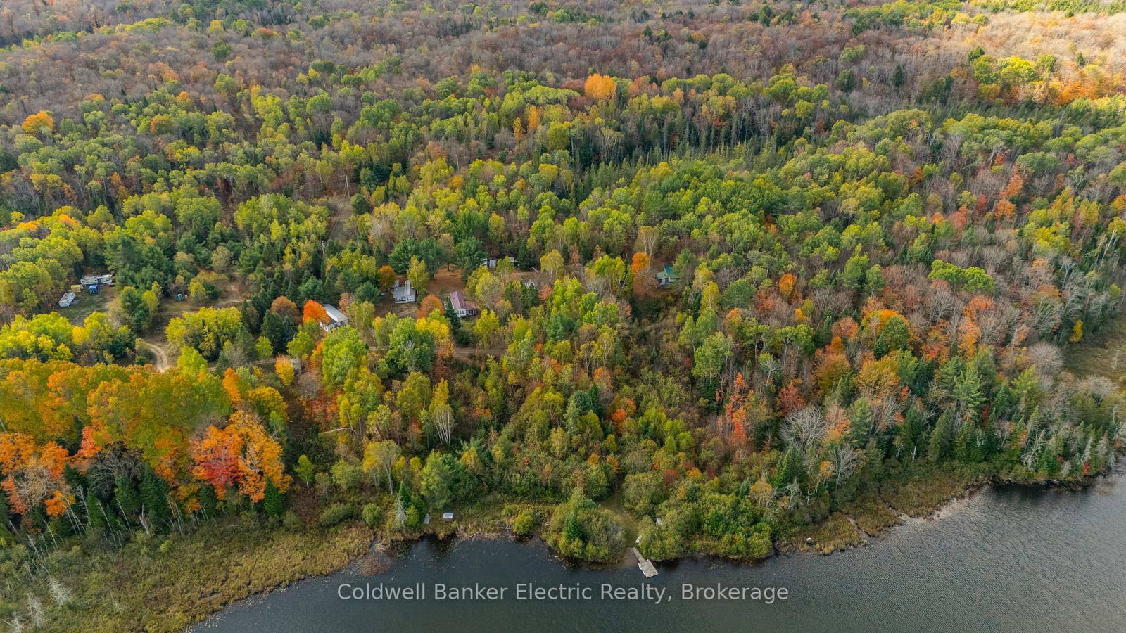 1304 Lower Monmouth Lake Road • Highlands East, ON photo 8
