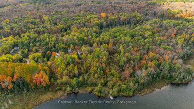 1304 Lower Monmouth Lake Road • Highlands East, ON photo 8