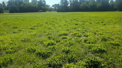 N/A Florence Street • North Glengarry, ON photo 3