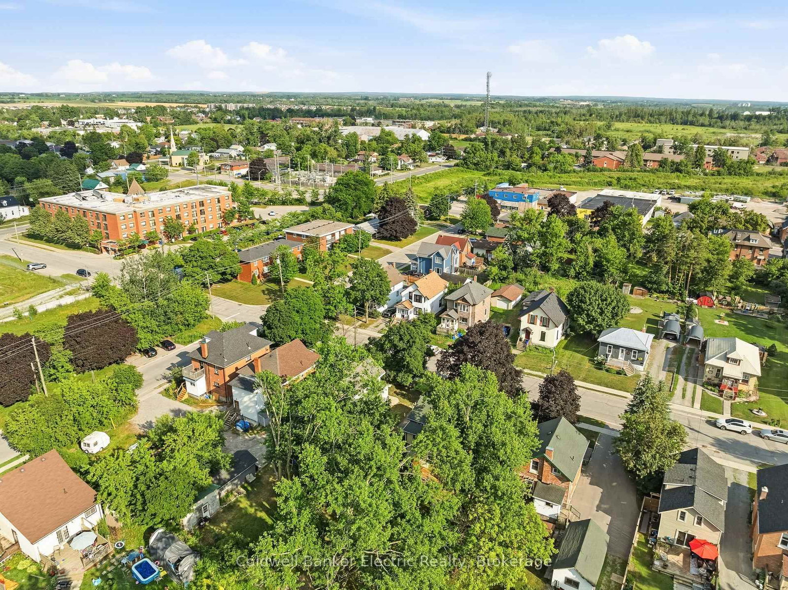 78 Melbourne Street W • Kawartha Lakes, ON photo 4