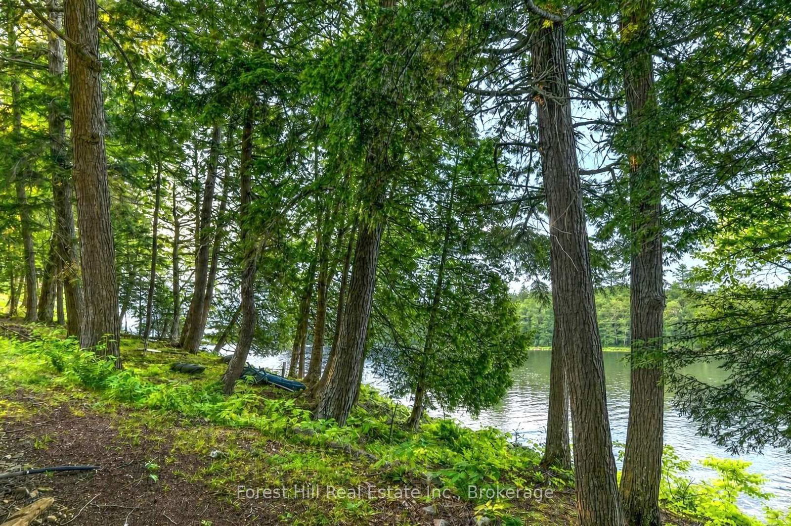 1110 Joseph Tapley Road • Lake of Bays, ON photo 35