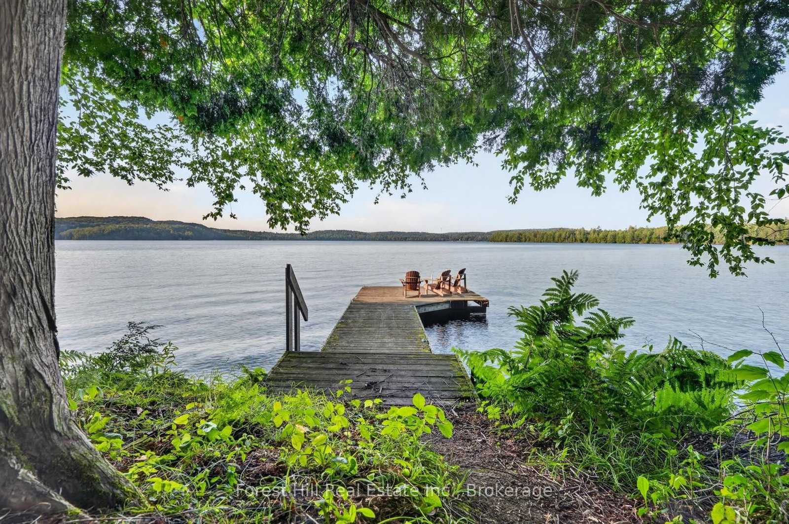1110 Joseph Tapley Road • Lake of Bays, ON photo 4