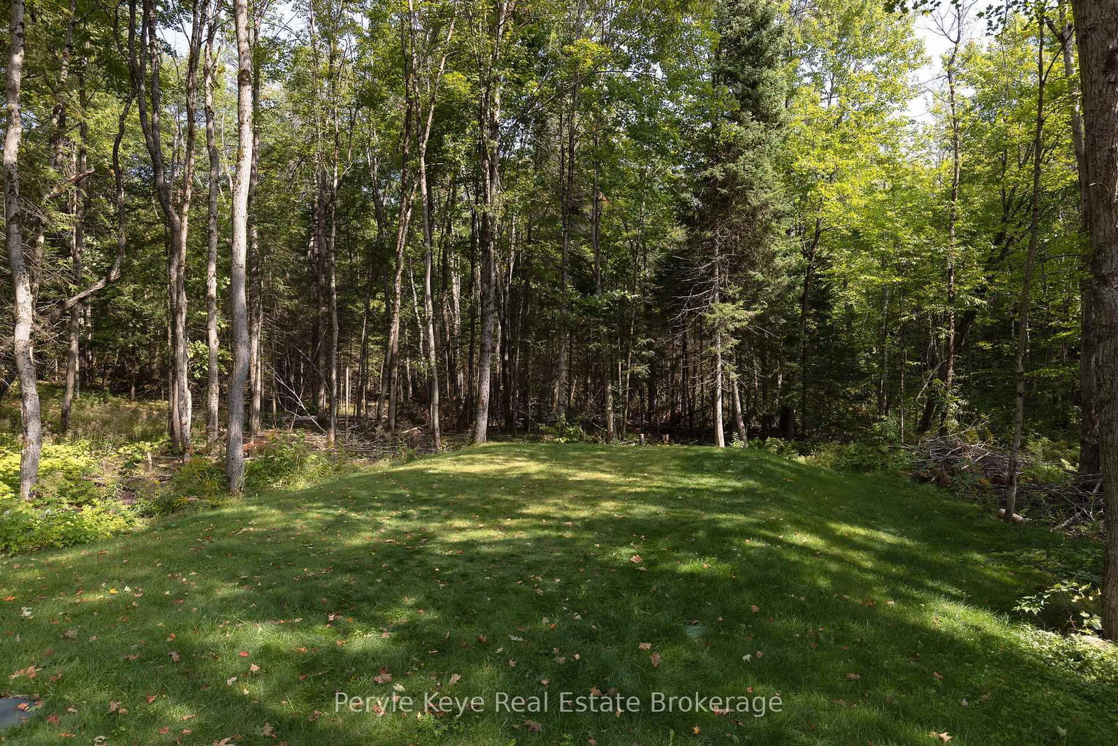 1025 & 1027 Big Island Road • Bracebridge, ON photo 42