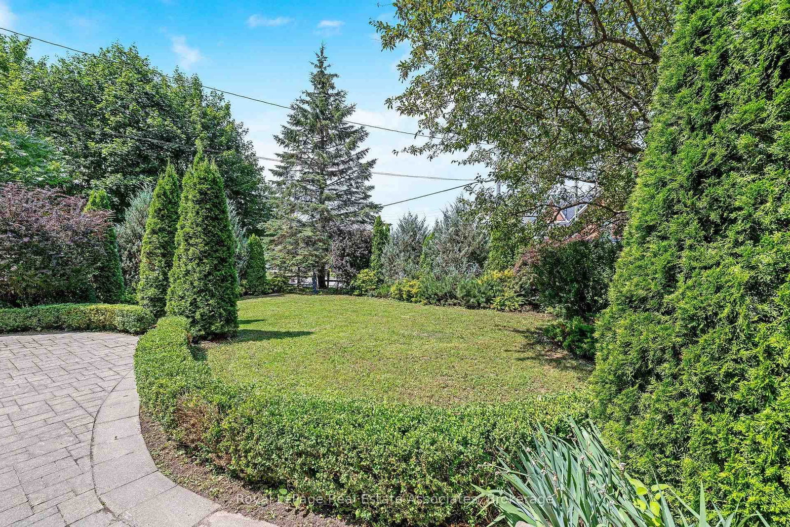 81 Main Street E • Grey Highlands, ON photo 5