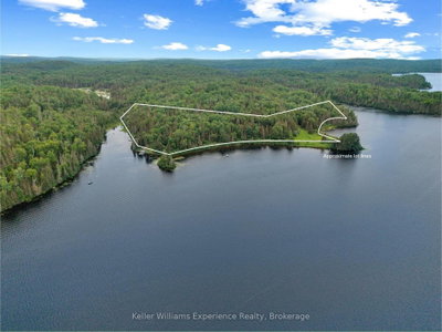 9000 Galeairy Lake • South Algonquin, ON photo 2