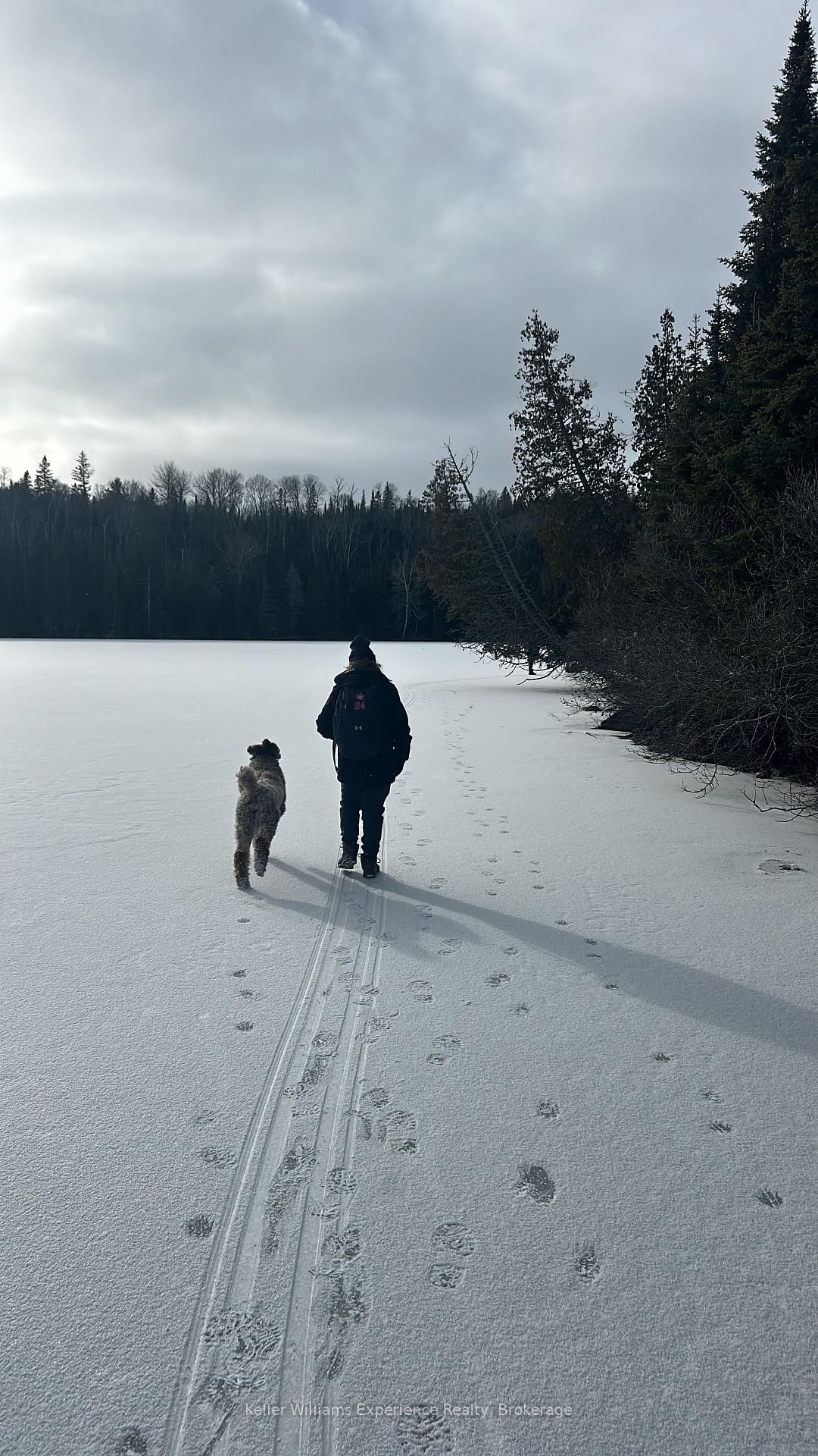 9000 Galeairy Lake • South Algonquin, ON photo 26