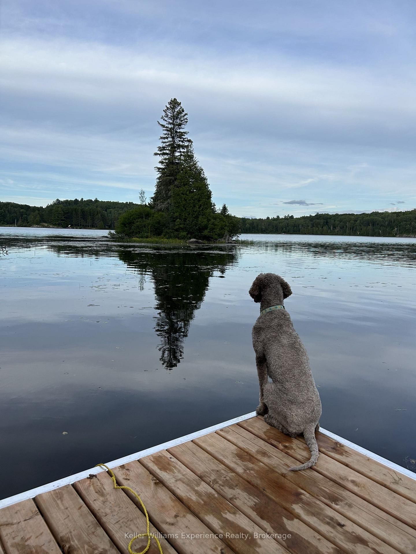 9000 Galeairy Lake • South Algonquin, ON photo 27