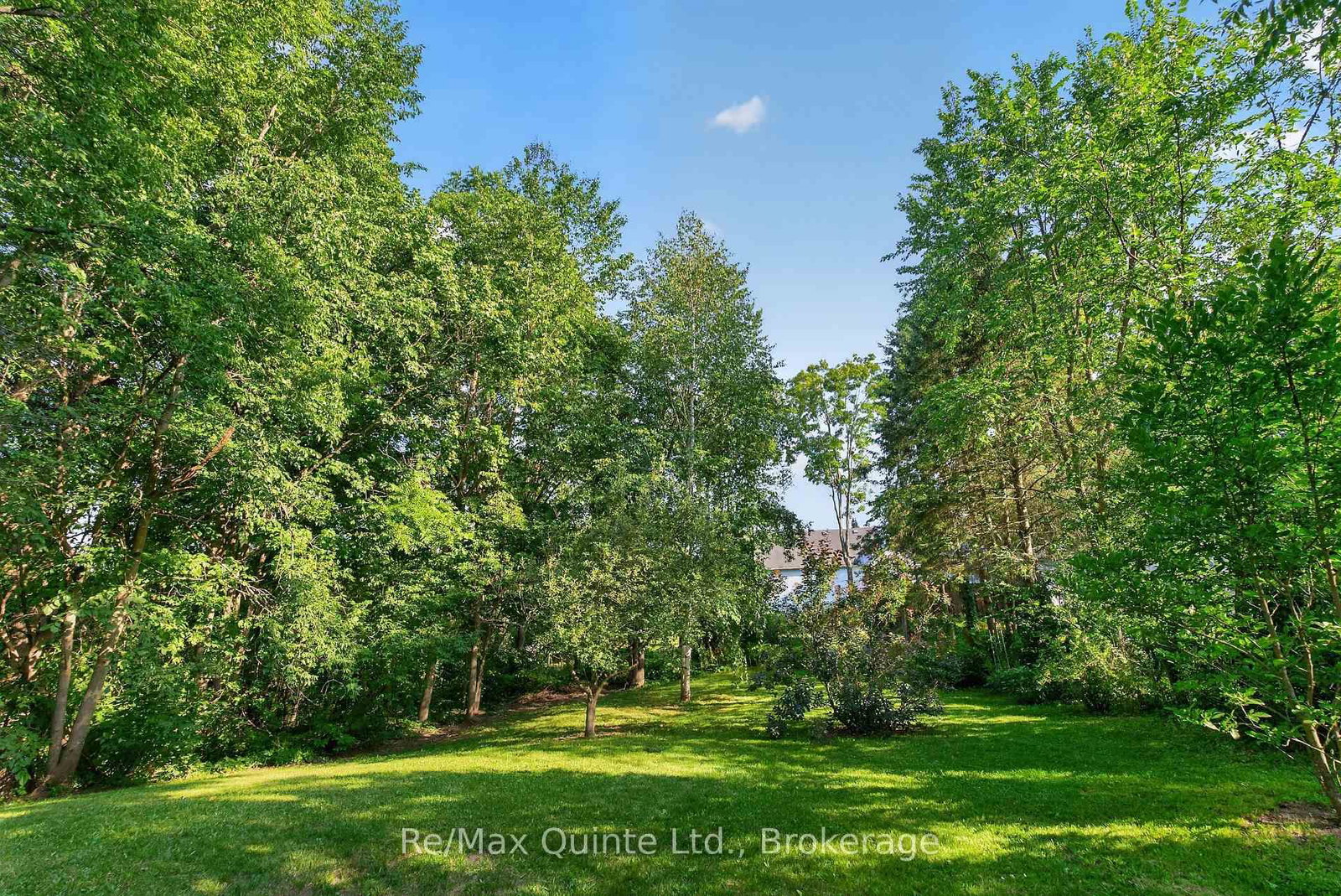 97 St Lawrence Street W • Madoc, ON photo 32