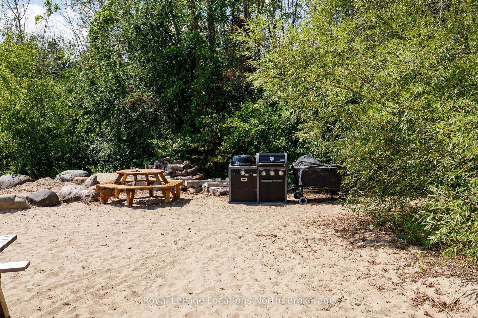 157 Woodland Park Road • Blue Mountains, ON photo 44