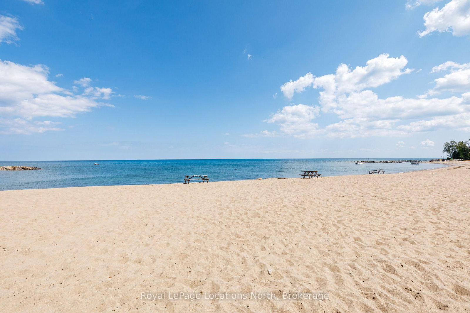 157 Woodland Park Road • Blue Mountains, ON photo 45
