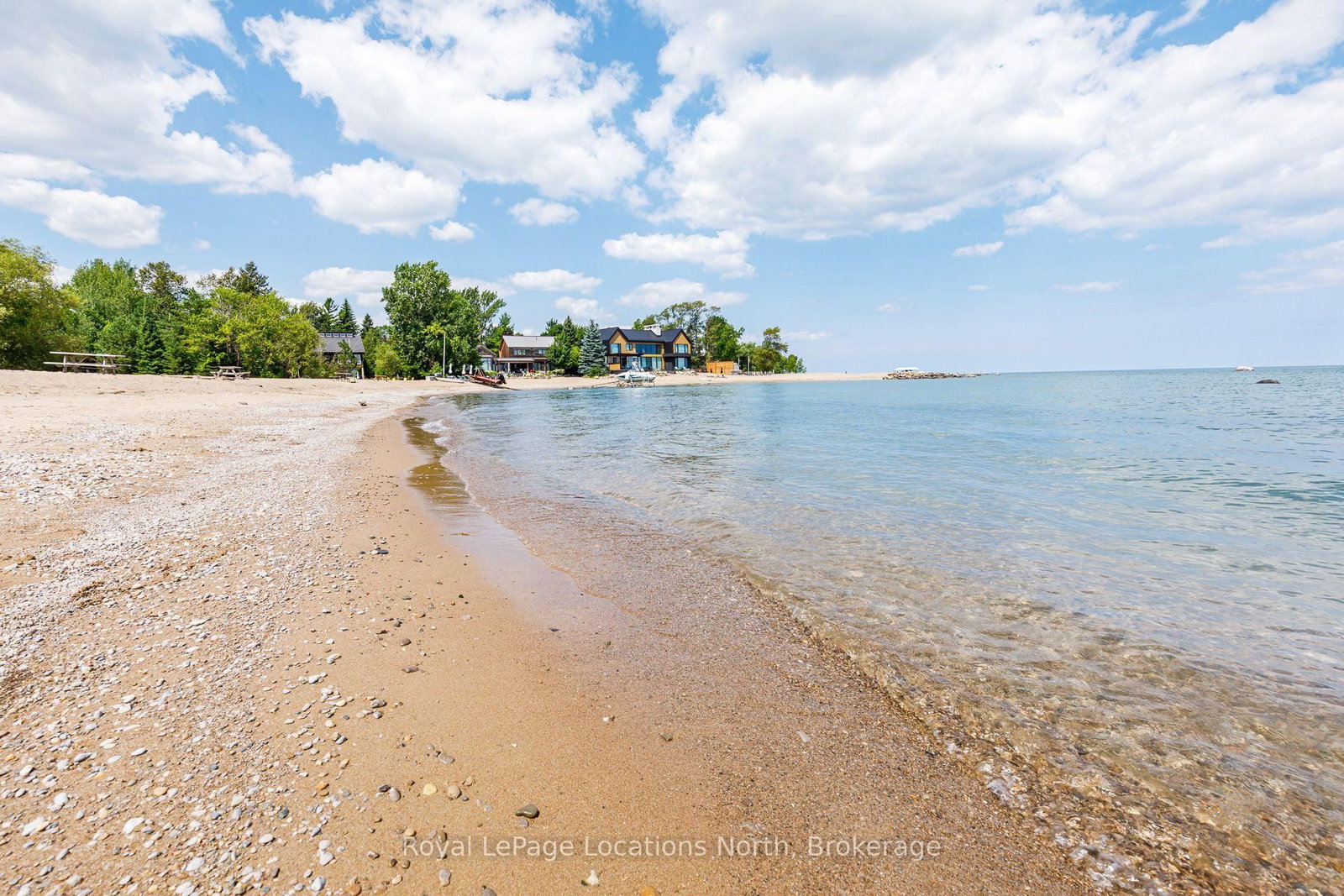 157 Woodland Park Road • Blue Mountains, ON photo 50