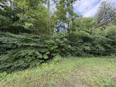 23 Front Street • South Bruce Peninsula, ON photo 2
