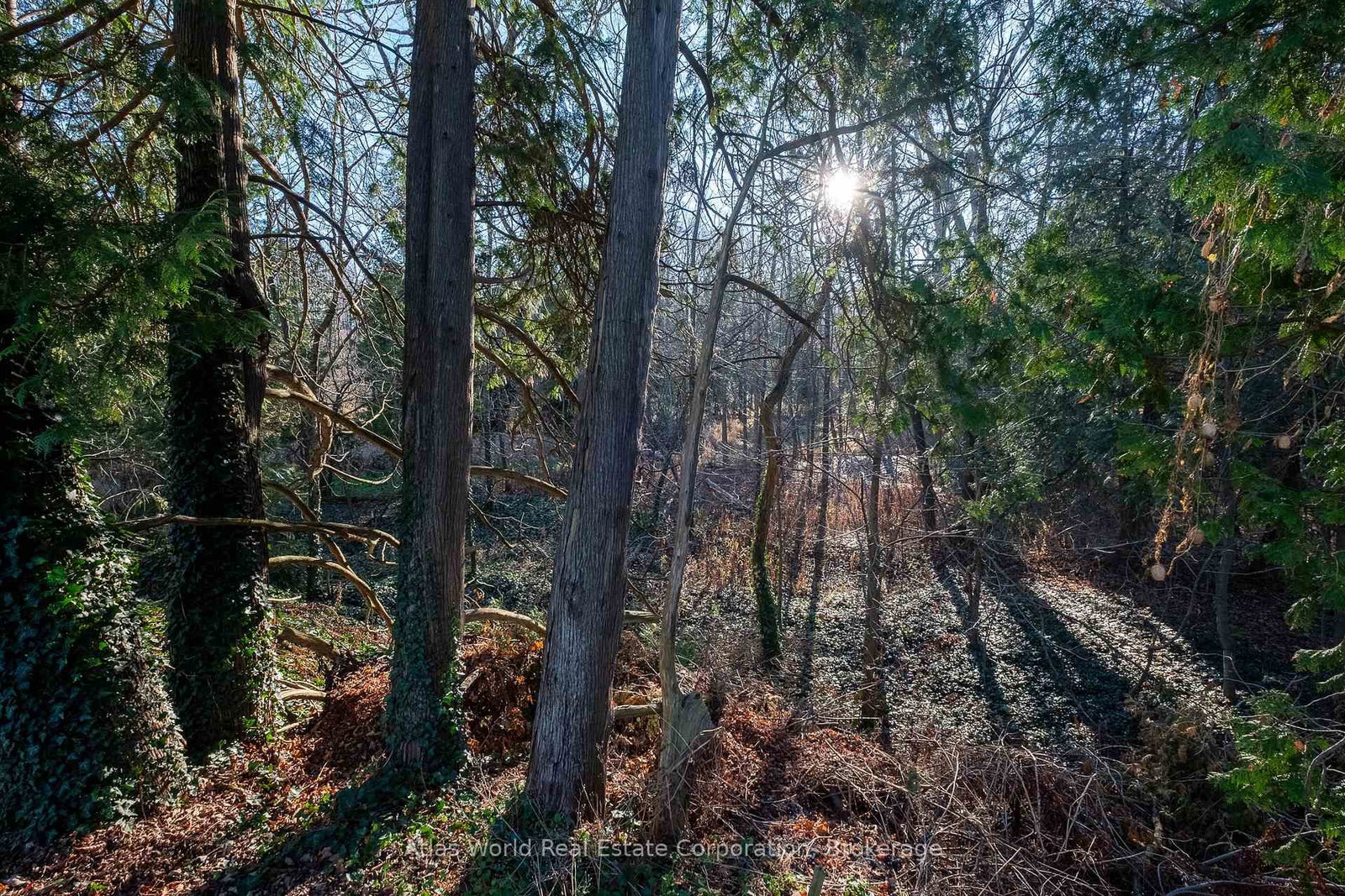 23 Front Street • South Bruce Peninsula, ON photo 5