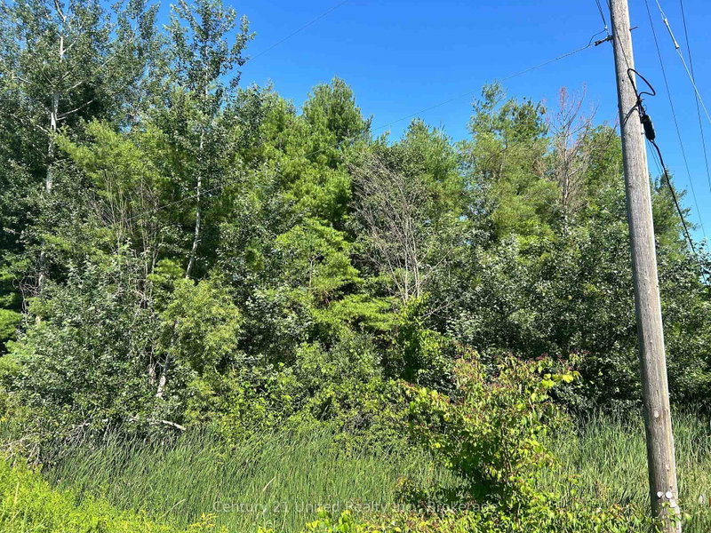 0 Concession Rd 4 W