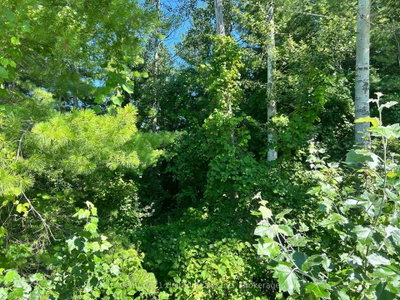 0 Concession Rd 4 W • Trent Hills, ON photo 3