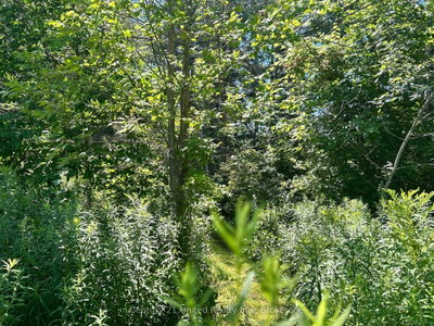 0 Concession Rd 4 W • Trent Hills, ON photo 5