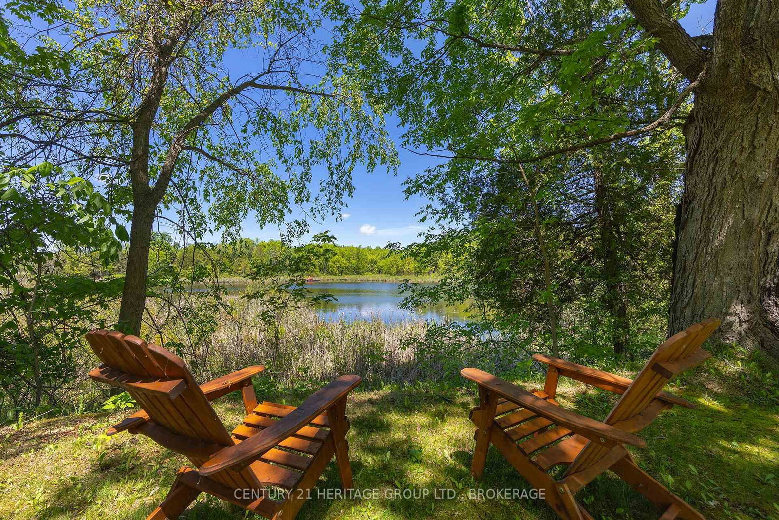6104 Highway 38 • Verona, ON photo 10