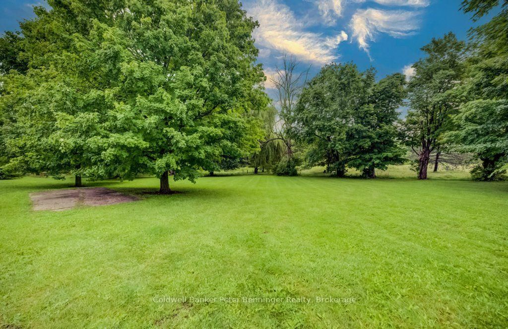 388 Bruce Road 2 • Brockton, ON photo 43